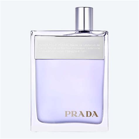 prada amber pour homme release|prada amber pour homme men.